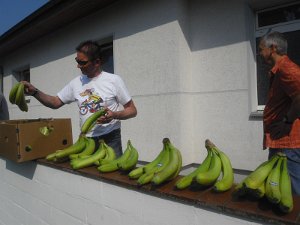 RTF Celle 2011 Manfred 029